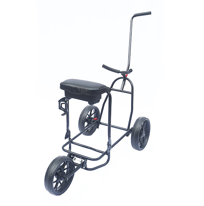 3 Wheel Buggy
