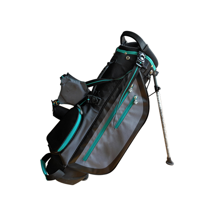 Stand bag