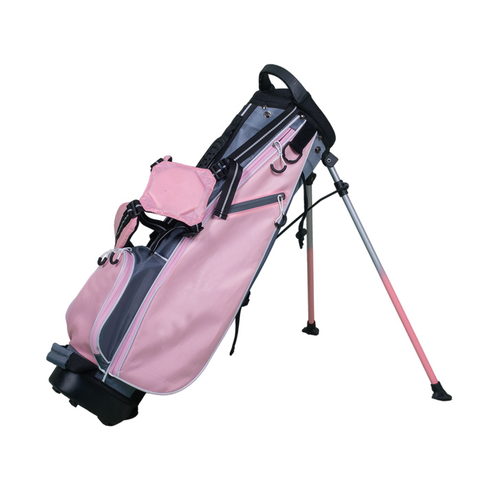 Stand bag